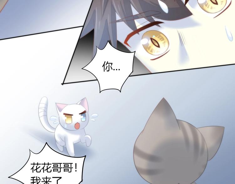 第96话 神秘小偷现身71