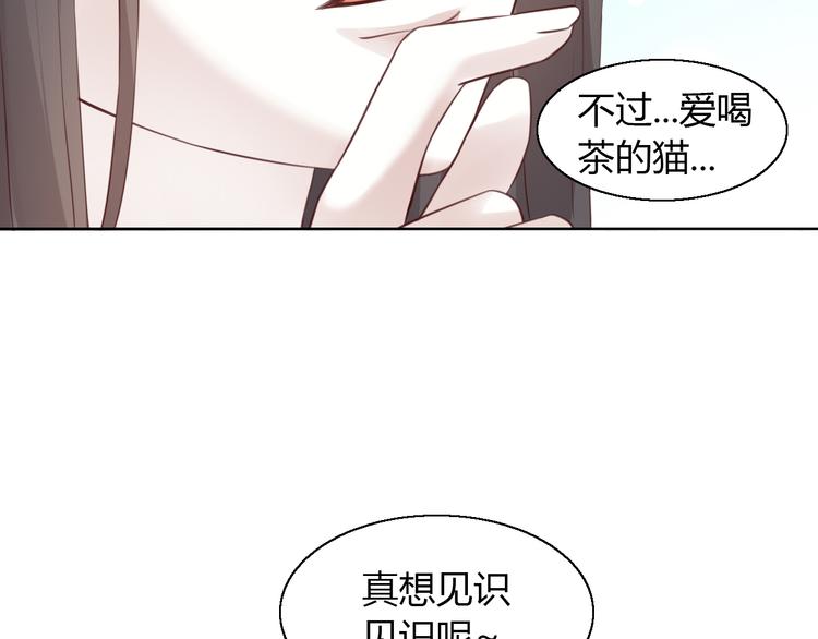 第51话 人猫大互换？113