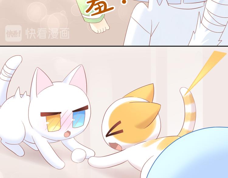 第195话  宠物毛毡46