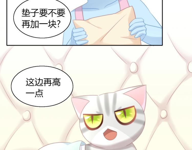 第127话 猫舍C位（三）9