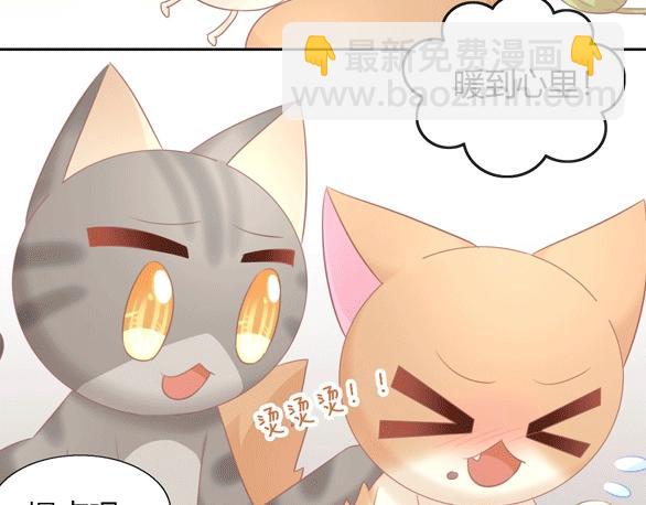 第130话 猫舍C位（六）97