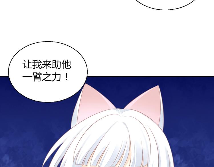 第127话 猫舍C位（三）18