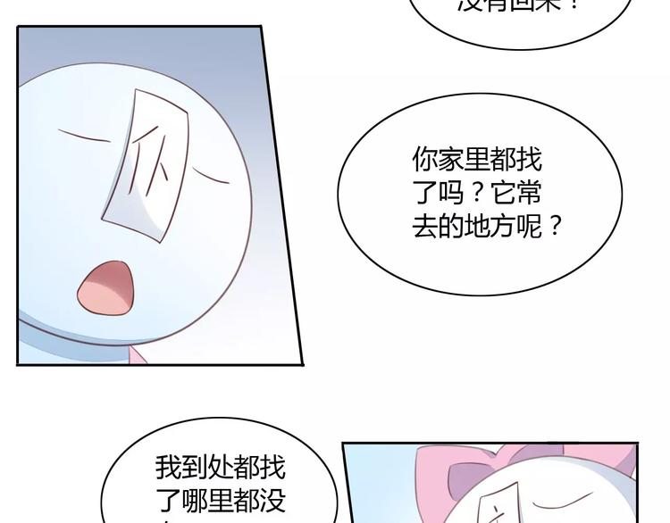 第14话  萌宠失踪24