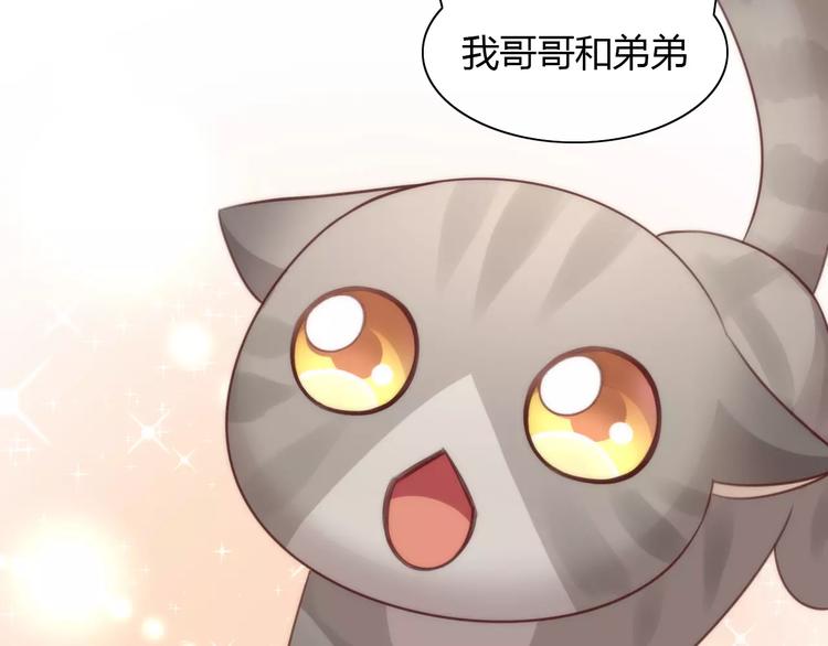 第24话 猫咪专家62