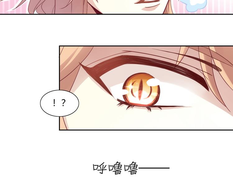 第1话  猫主子驾到！66