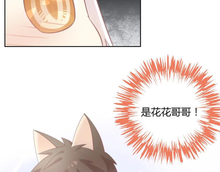 第119话 猫爪学园（二）28