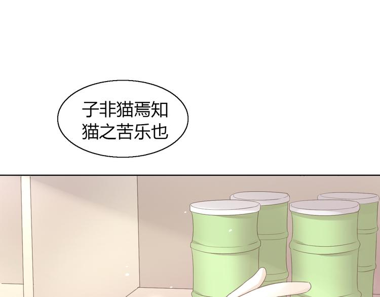 第51话 人猫大互换？104