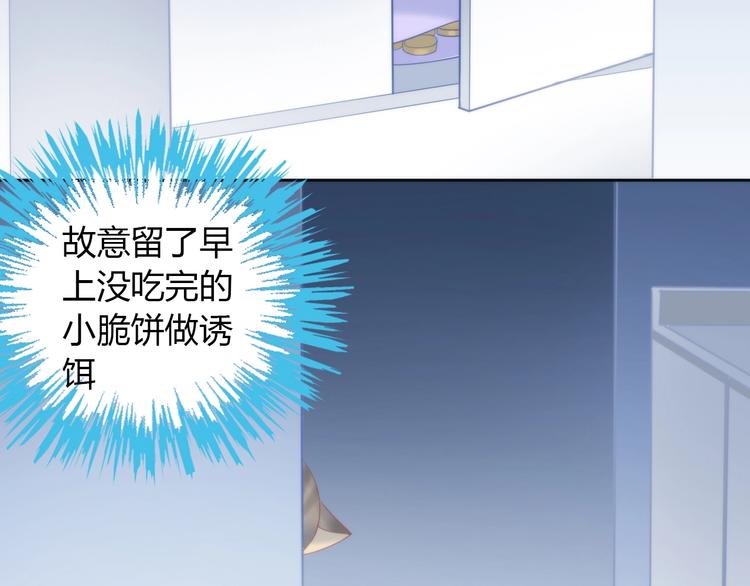 第96话 神秘小偷现身41