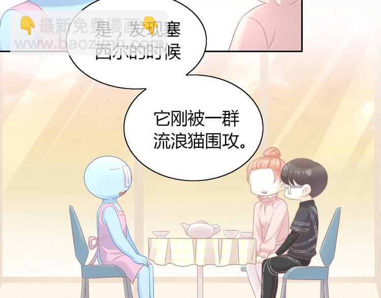 第129话 猫舍C位（五）26