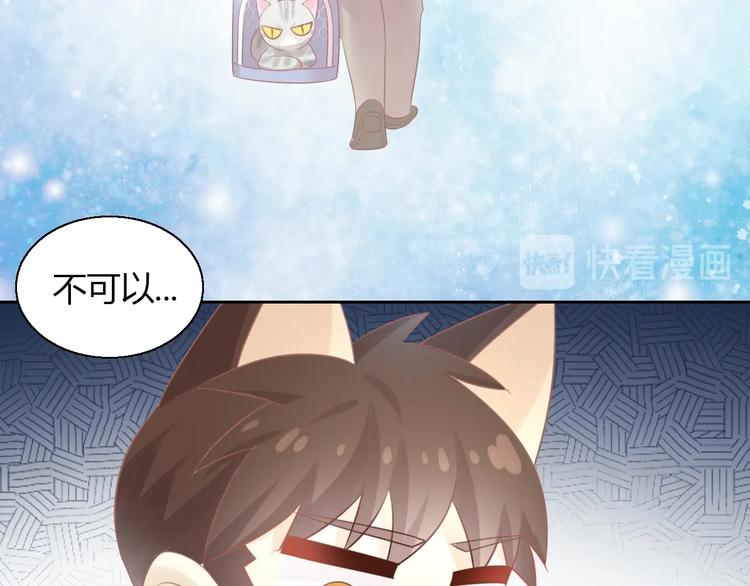 第130话 猫舍C位（六）37