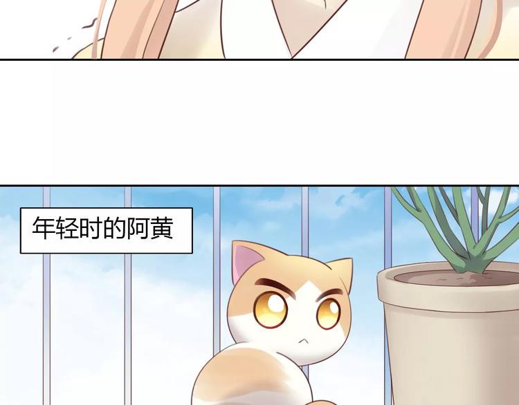 第42话 小可怜的妈妈？49