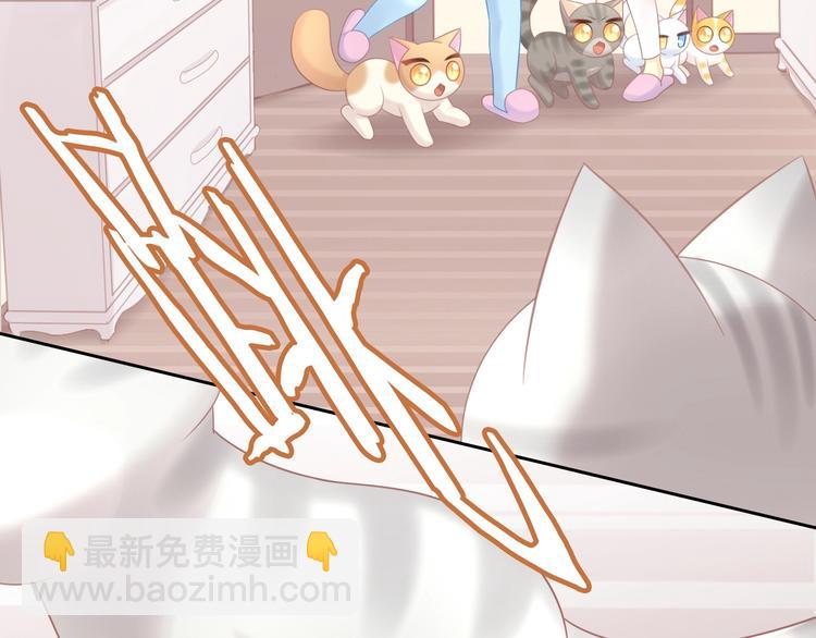第130话 猫舍C位（六）13