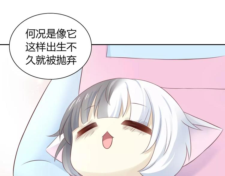 第41话 小可怜竟然是？41