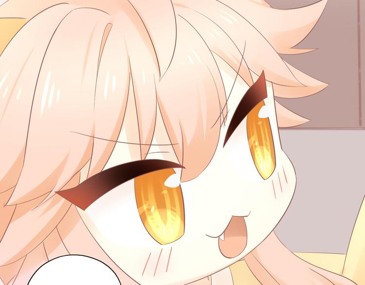 第200话 猫爪之下59