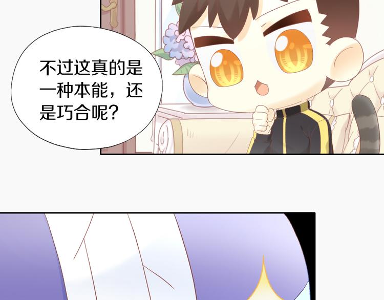 第200话 猫爪之下29