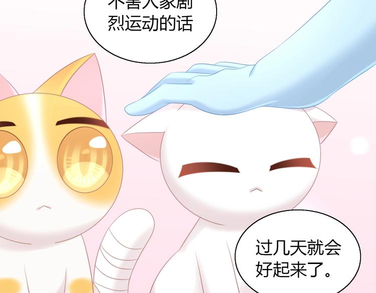 第127话 猫舍C位（三）24