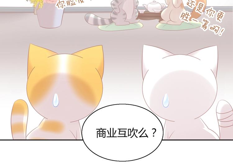 第129话 猫舍C位（五）76