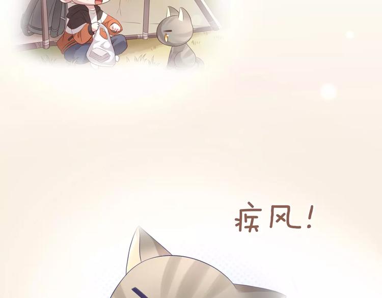 第31话 再见啦疾风64