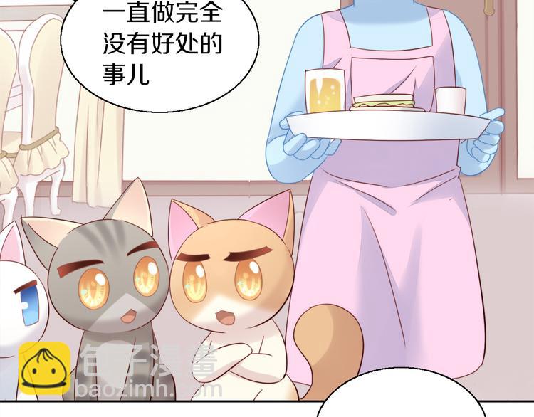 第146话 皮卡的梦想38