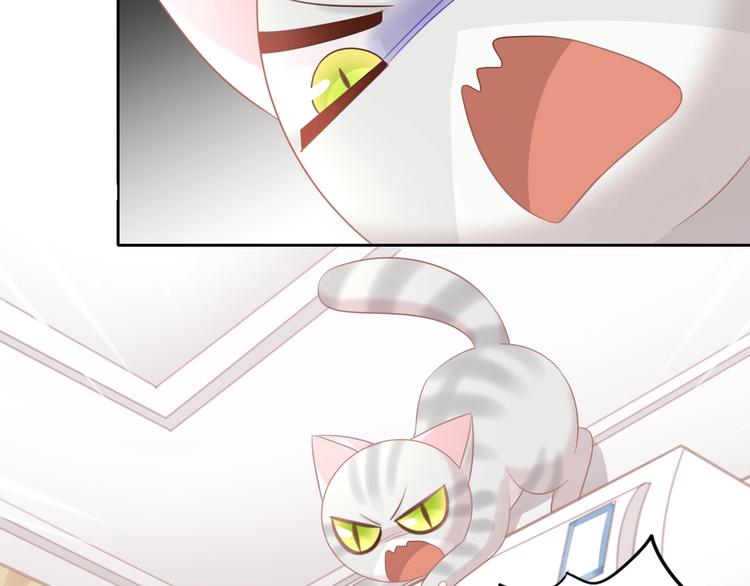 第130话 猫舍C位（六）44