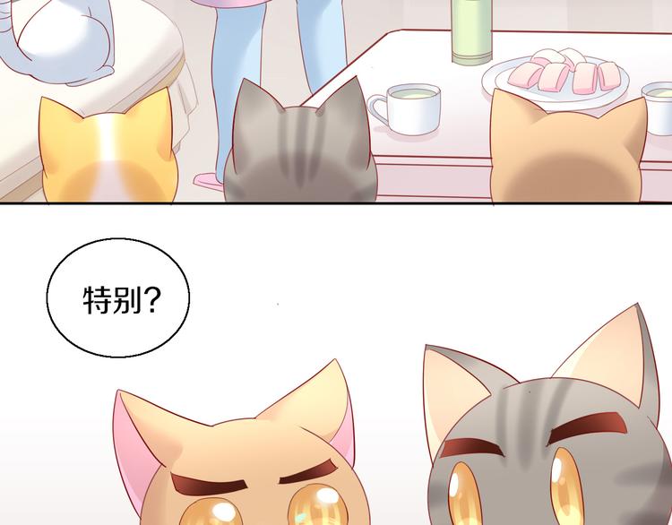 第143话 腮红鹦鹉68
