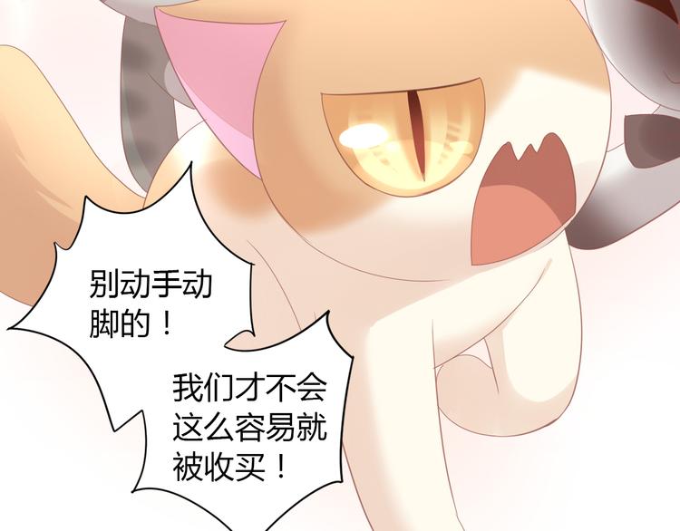 第136话 撸猫技师（四）21