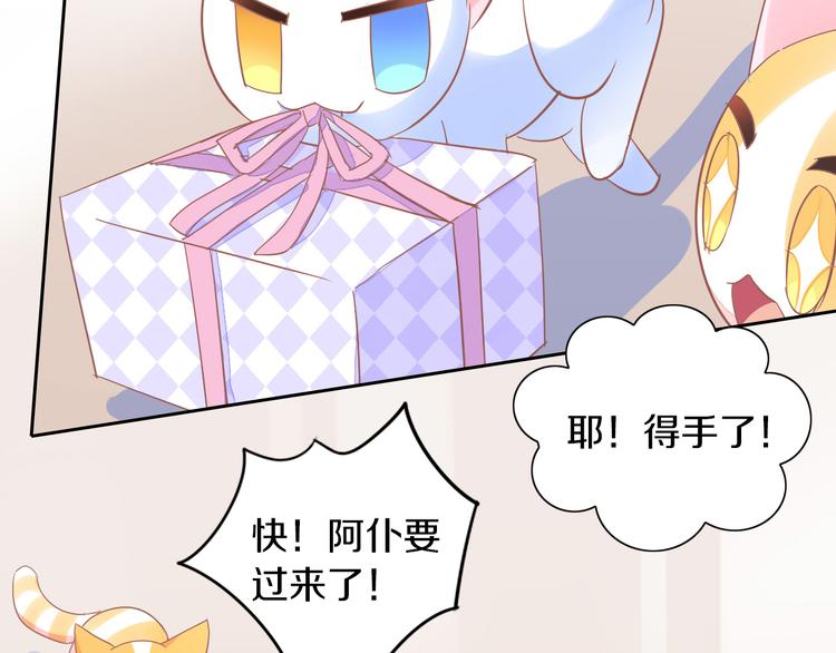 第166话 猫咪花园91