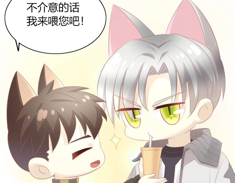 第128话 猫舍C位（四）32