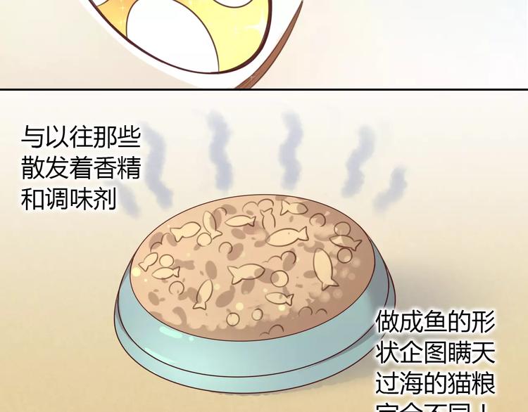 第24话 猫咪专家47