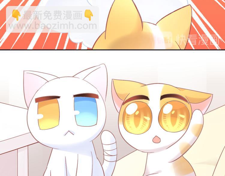 第183话  恼人的耳螨35