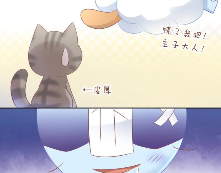 第93话 撸猫快乐成仙！41