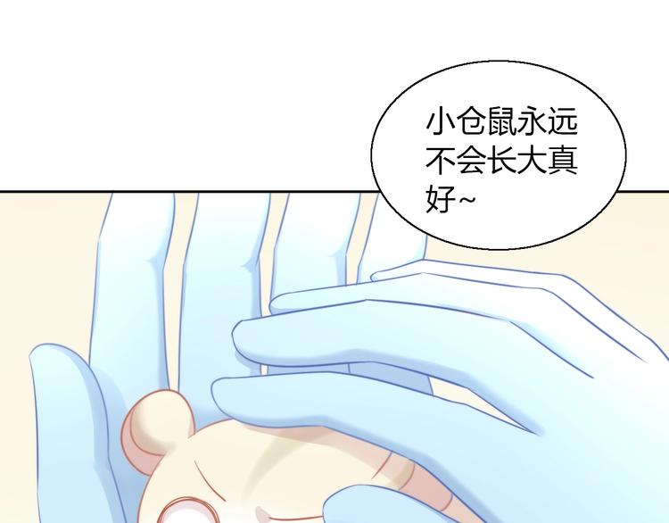第108话 仓鼠也有梦想！16