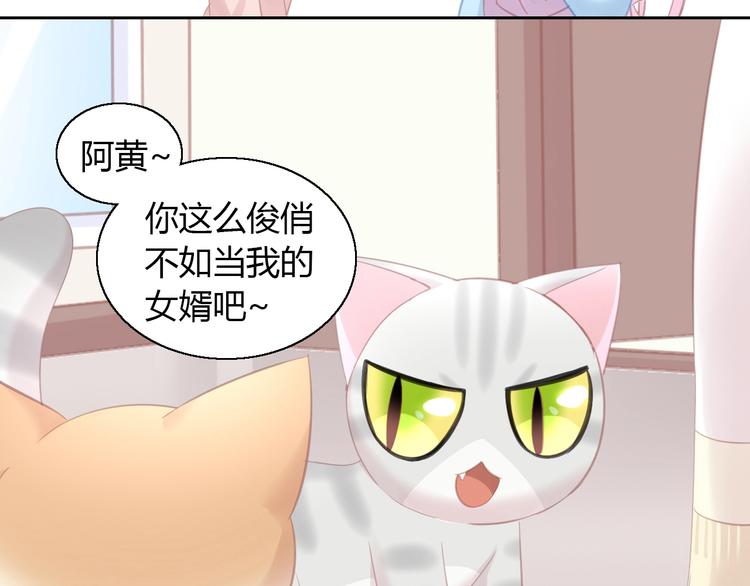 第130话 猫舍C位（六）76