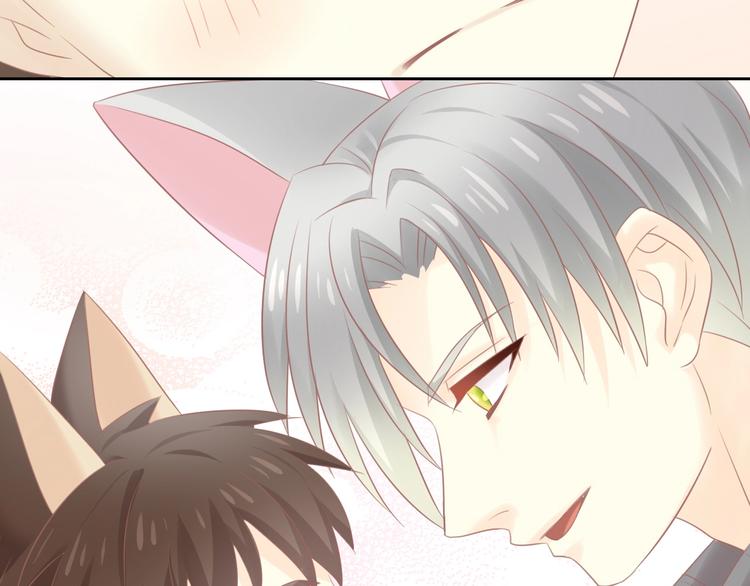 第130话 猫舍C位（六）88