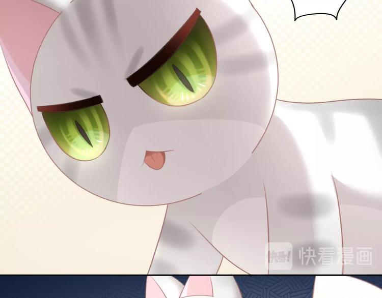 第125话 猫舍C位（一）81