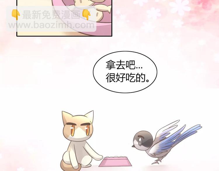 第39话 鸟妈妈的苦心85