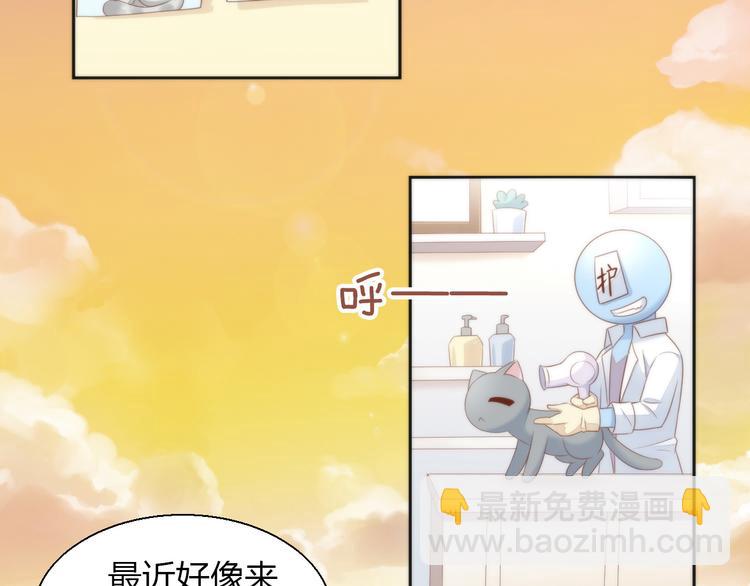 第76话 猫咪选美大赛5