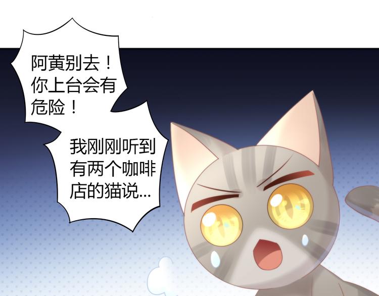 第79话 一只猫的战争62