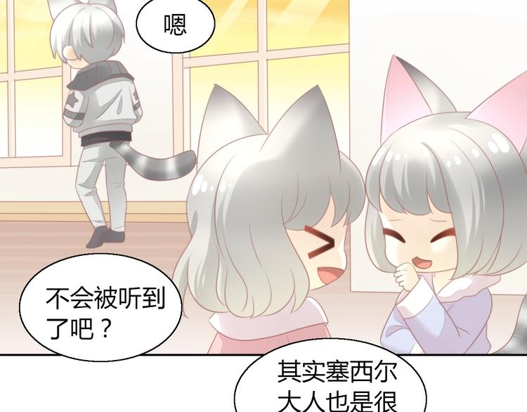 第125话 猫舍C位（一）20