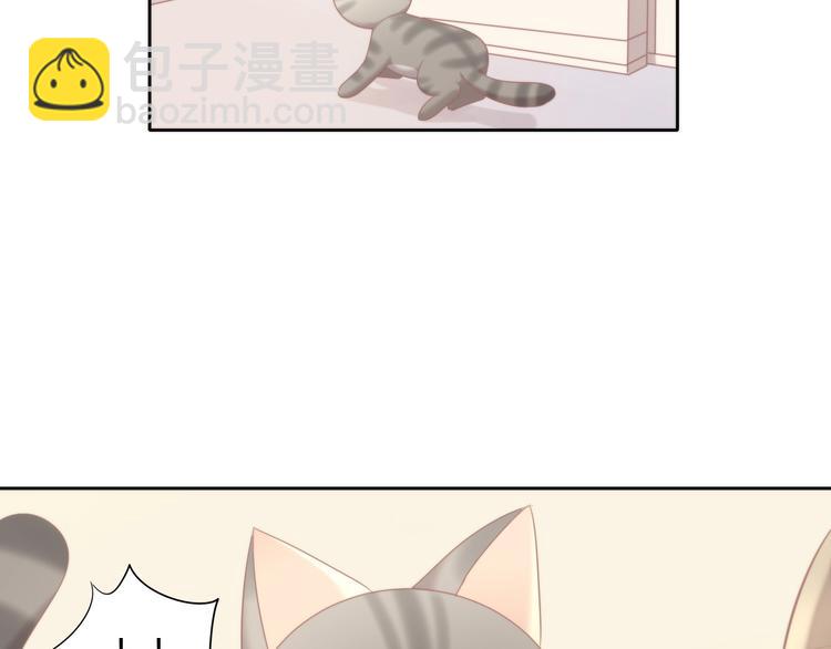 第126话 猫舍C位（二）20