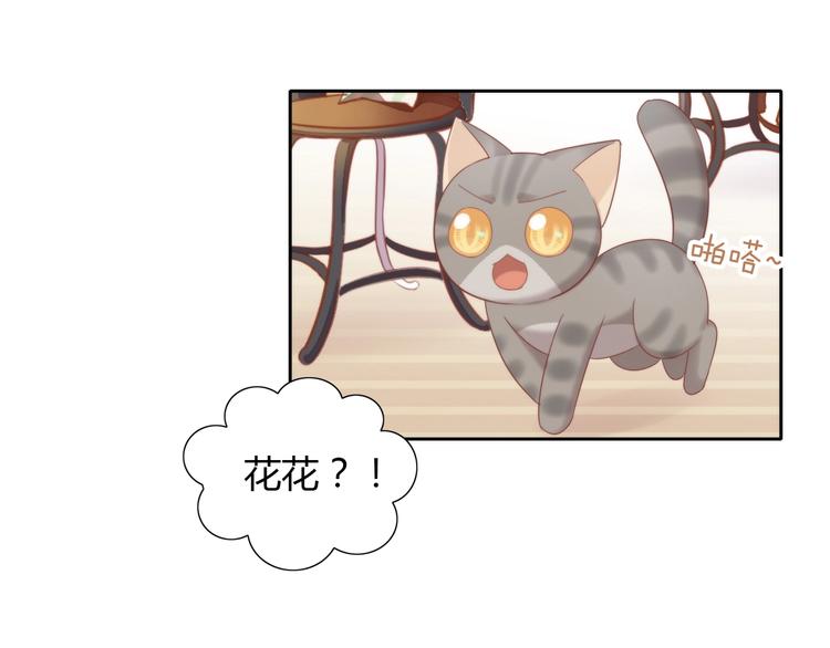 第133话 撸猫技师（一）59