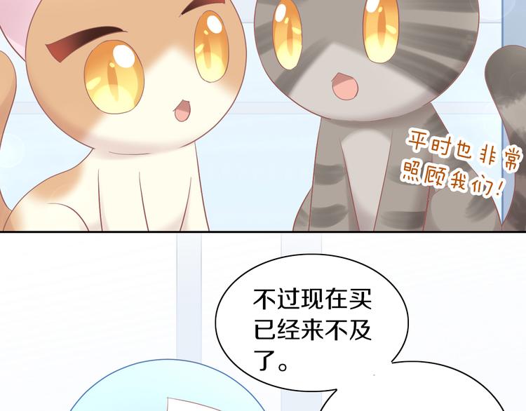 第195话  宠物毛毡12