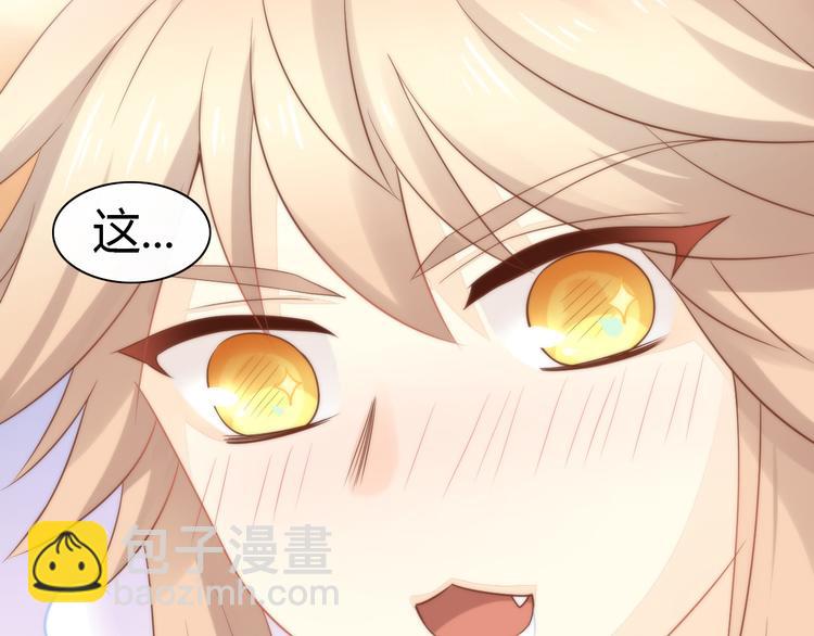 第76话 猫咪选美大赛48