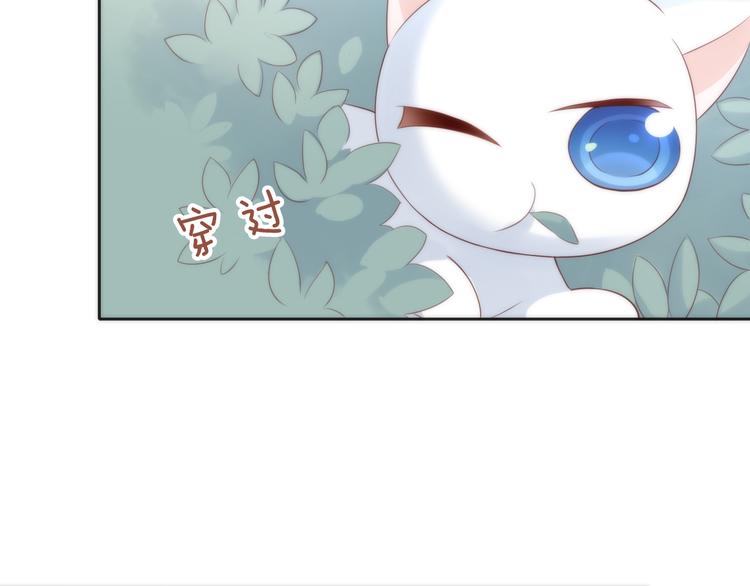 第63话 她的秘密55