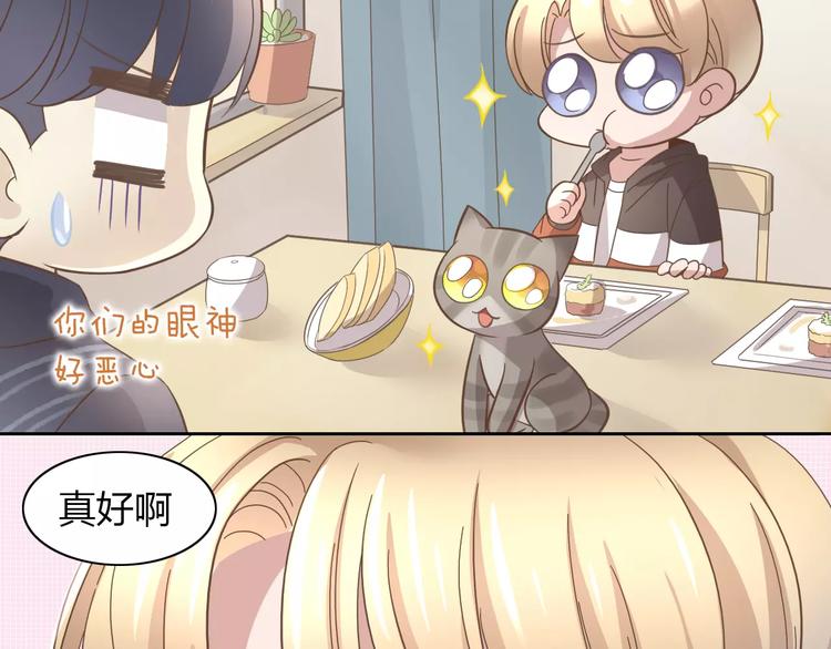 第24话 猫咪专家66