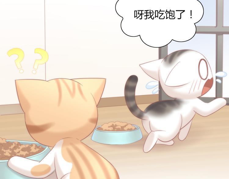 第87话  你不是王子！33