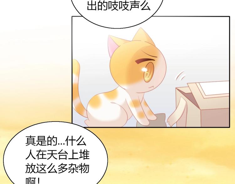 第106话 猫怕老鼠69
