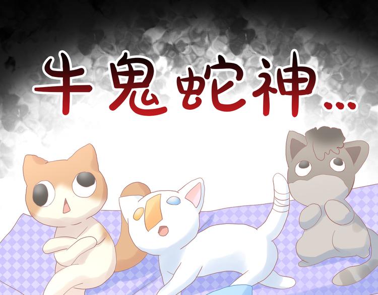 第195话  宠物毛毡68