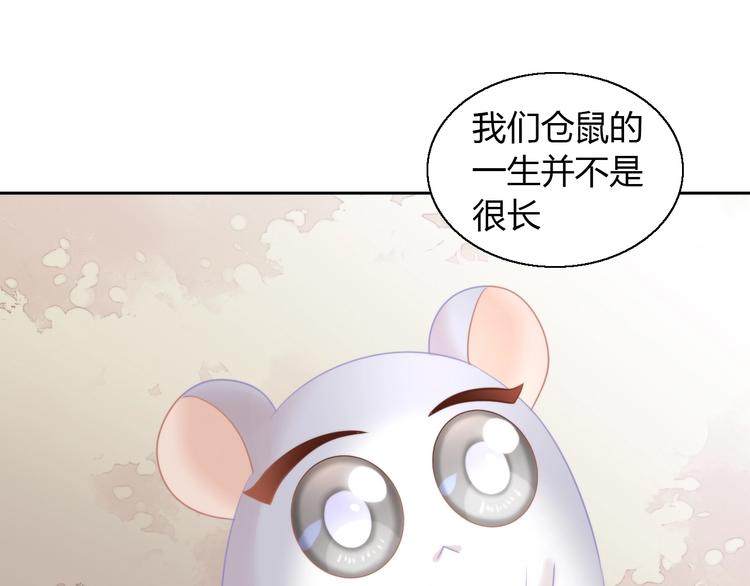 第110话 有情鼠终成眷属51