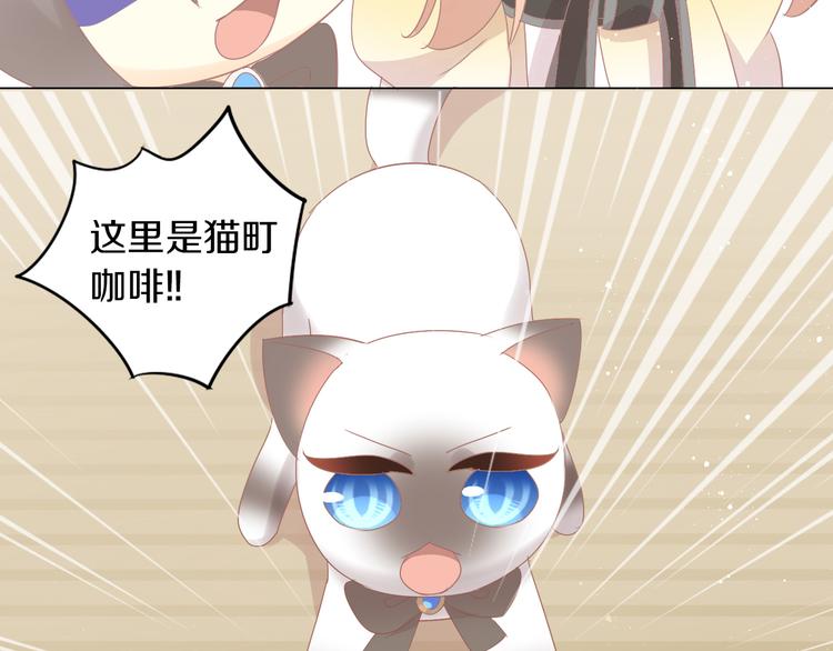 第178话 爆火视频59